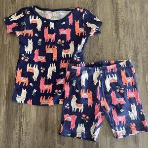 Carter’s Girl Pajamas 5T
